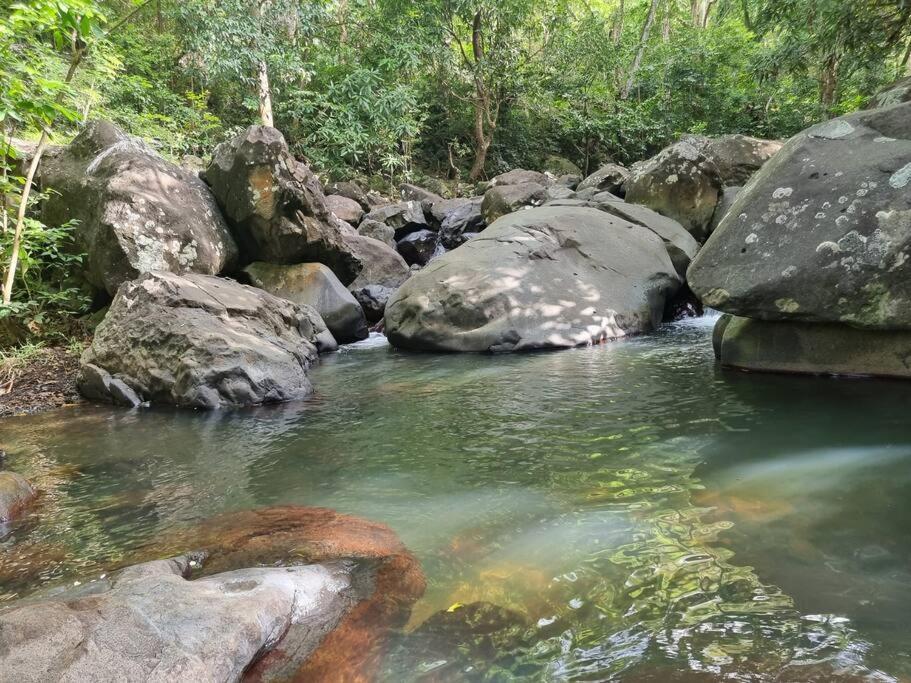بوانت-نوار L'Ilet Paradise المظهر الخارجي الصورة