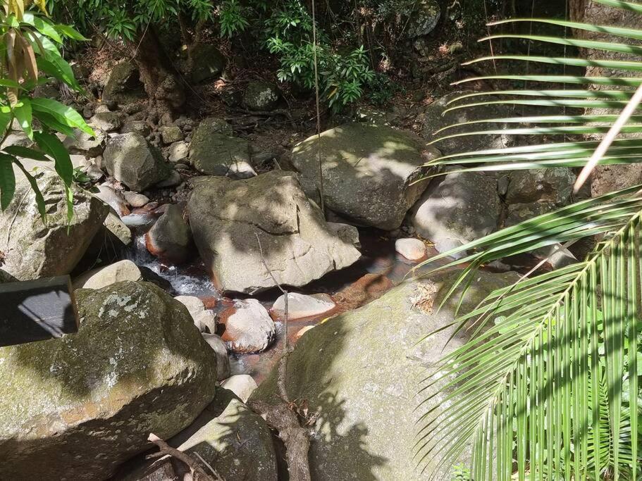 بوانت-نوار L'Ilet Paradise المظهر الخارجي الصورة