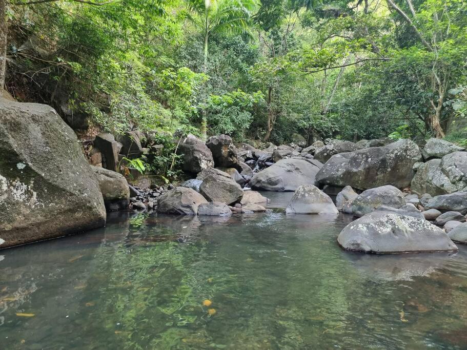 بوانت-نوار L'Ilet Paradise المظهر الخارجي الصورة